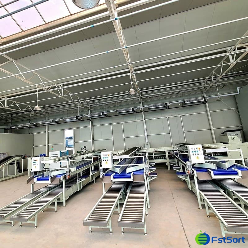 images/1688716268539fruit weight sorter.jpg